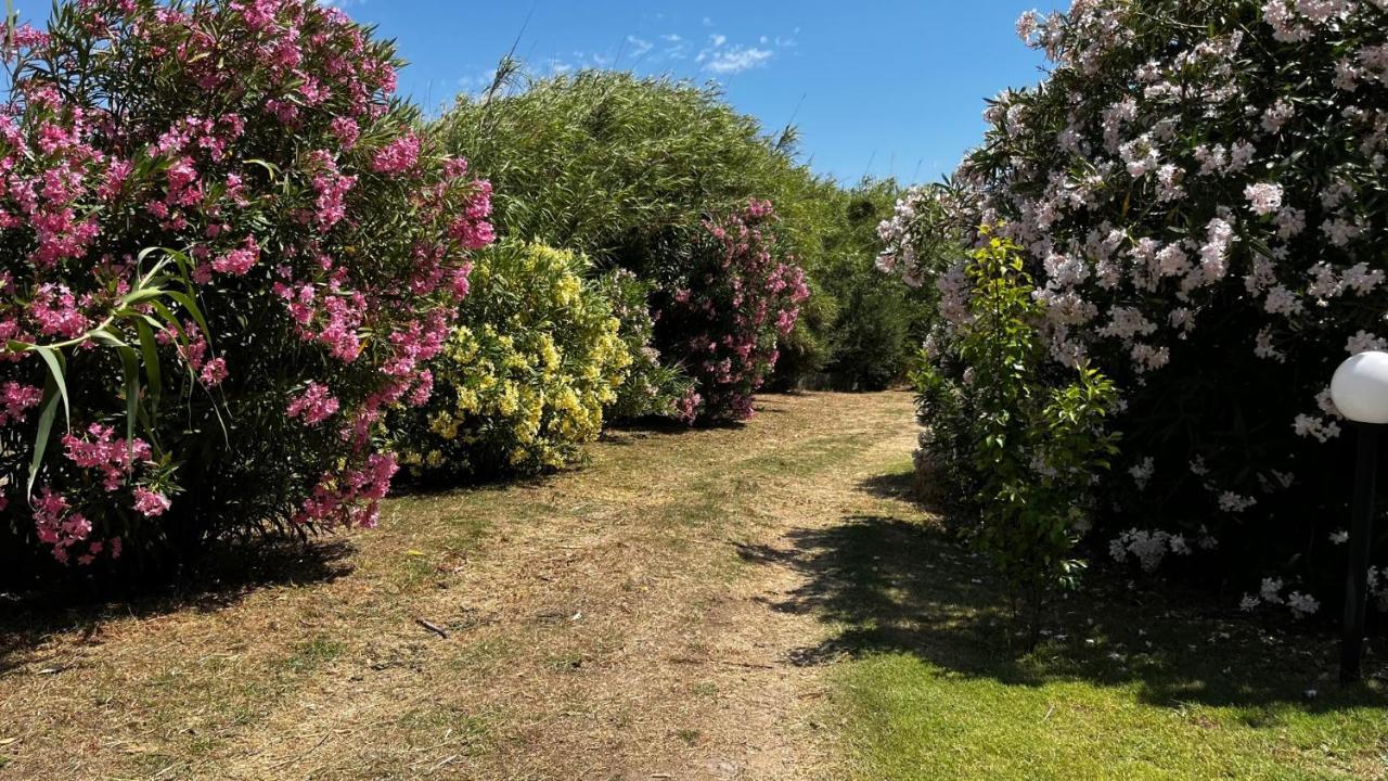 Hotel Frassetto Santa Teresa Gallura Kültér fotó